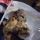 Illustration for article titled These Frozen Lion Cubs Were Just a Few Weeks Old When They Died 12,000 Years Ago